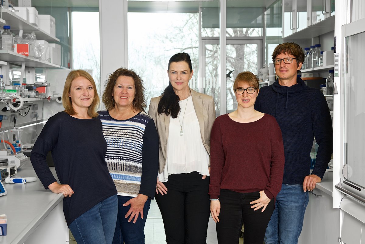 The University of Konstanz team (from left): Karina Gense, Renate Schlömer, Elke Deuerling, Nadine Sachs, Martin Gamerdinger. The picture does not show the cooperation partners from Leeds and Stanford. Copyright: University of Konstanz