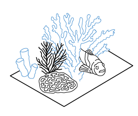 Zeichnung Fisch und Koralle