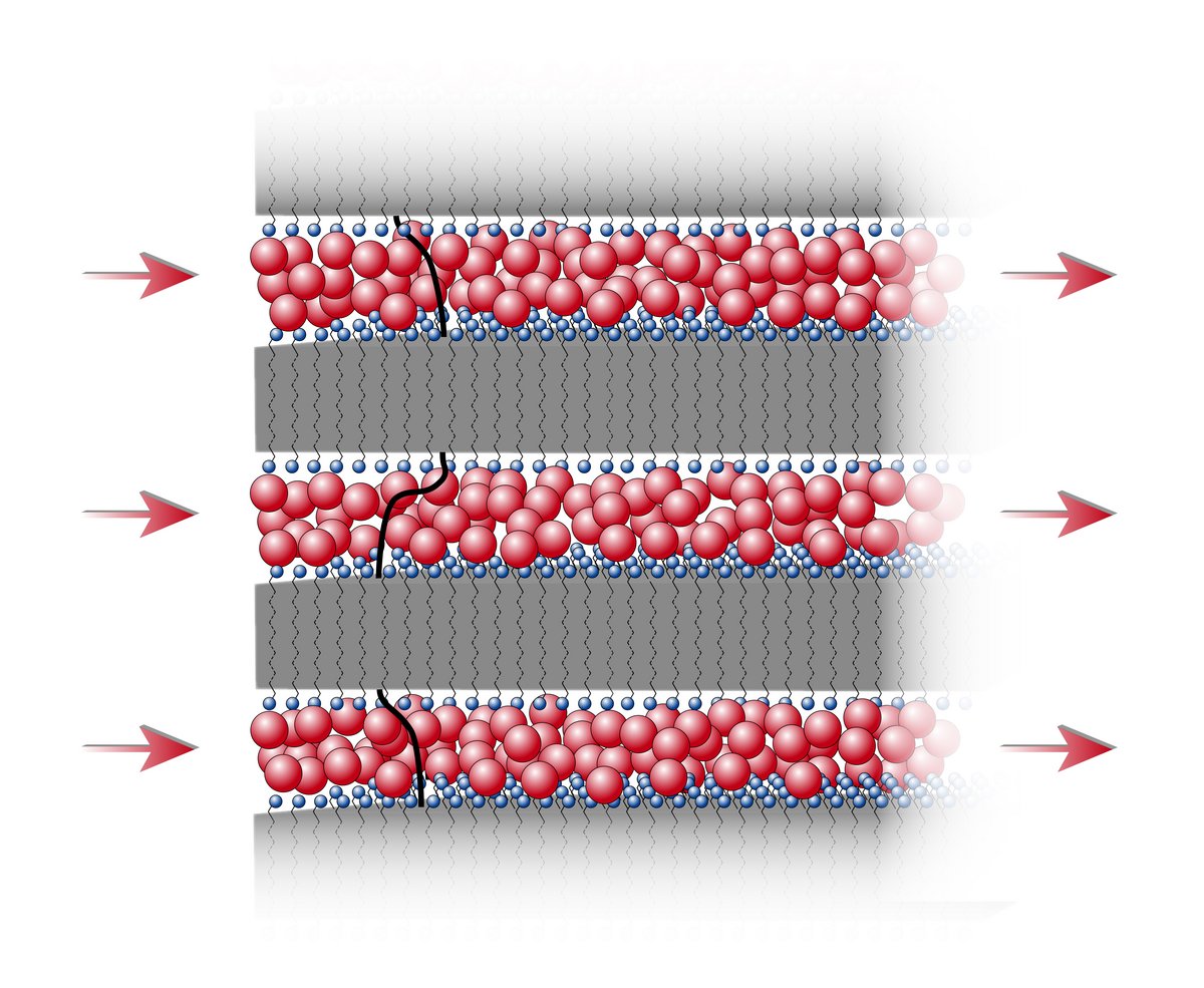 Illustration of the layered structure with layers of synthesized material