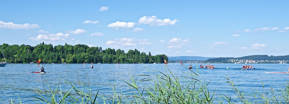 Ausblick auf den Bodensee mit verschiedenen Wassersportaktivitäten