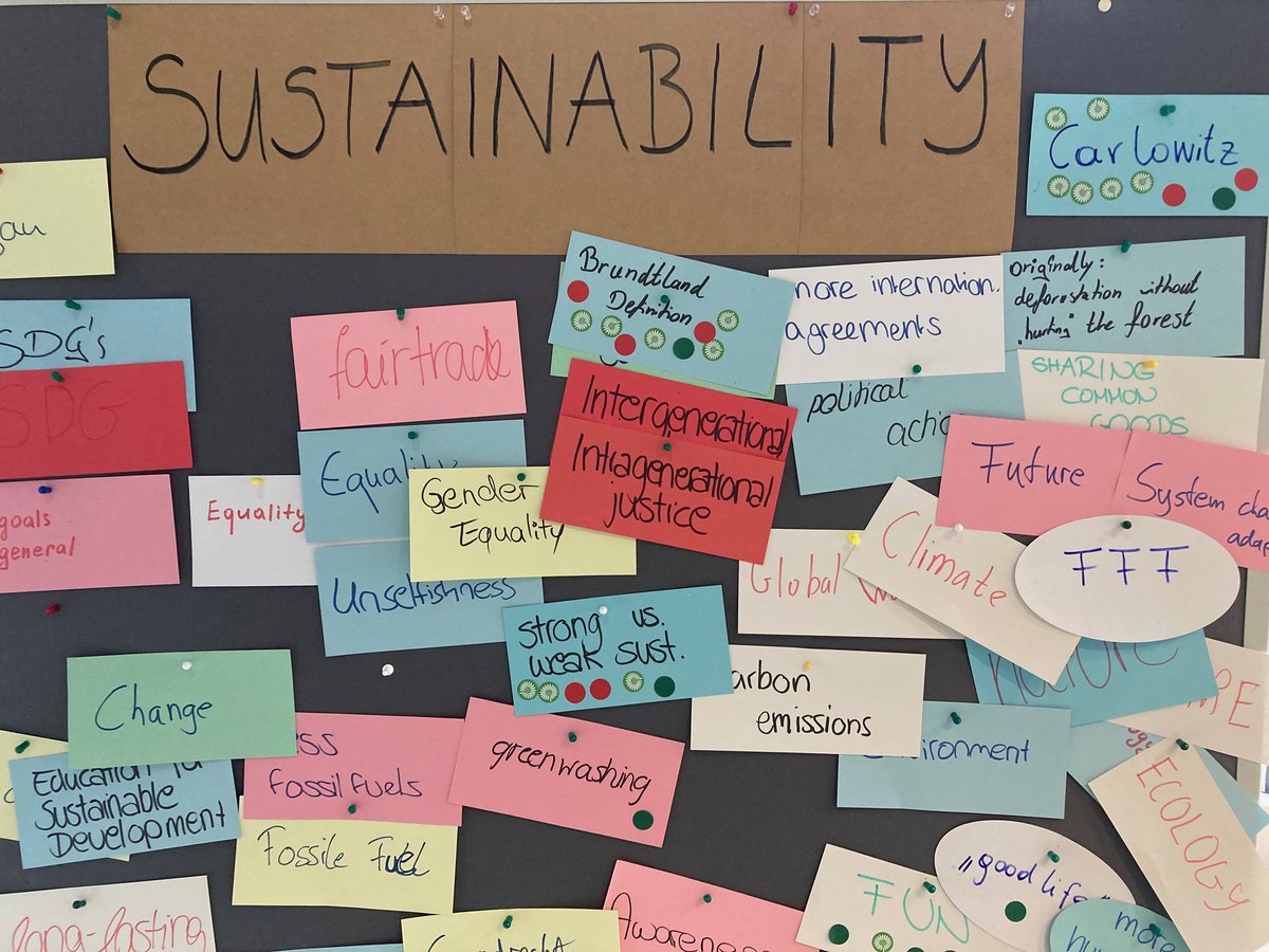 Pinnwand mit verschiedenen Begriffen rund um das Thema Nachhaltigkeit