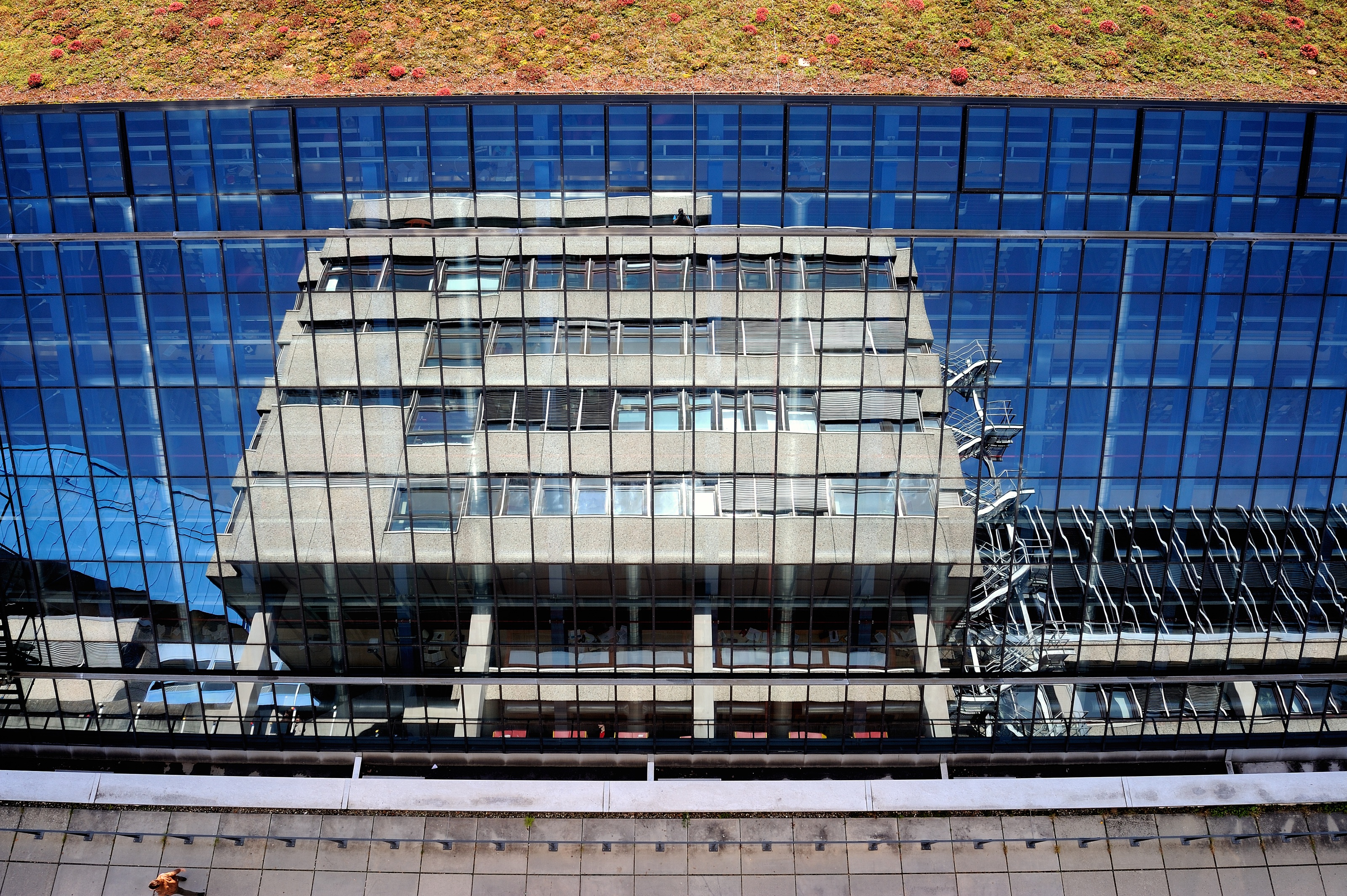 Das Gebäude V spiegelt sich in den Fenstern der Bibliothek