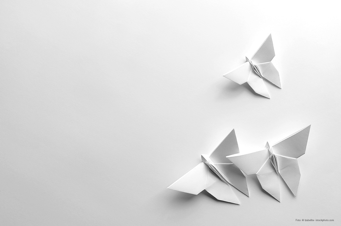 Origami-Schmetterlinge. Foto: Izabelite