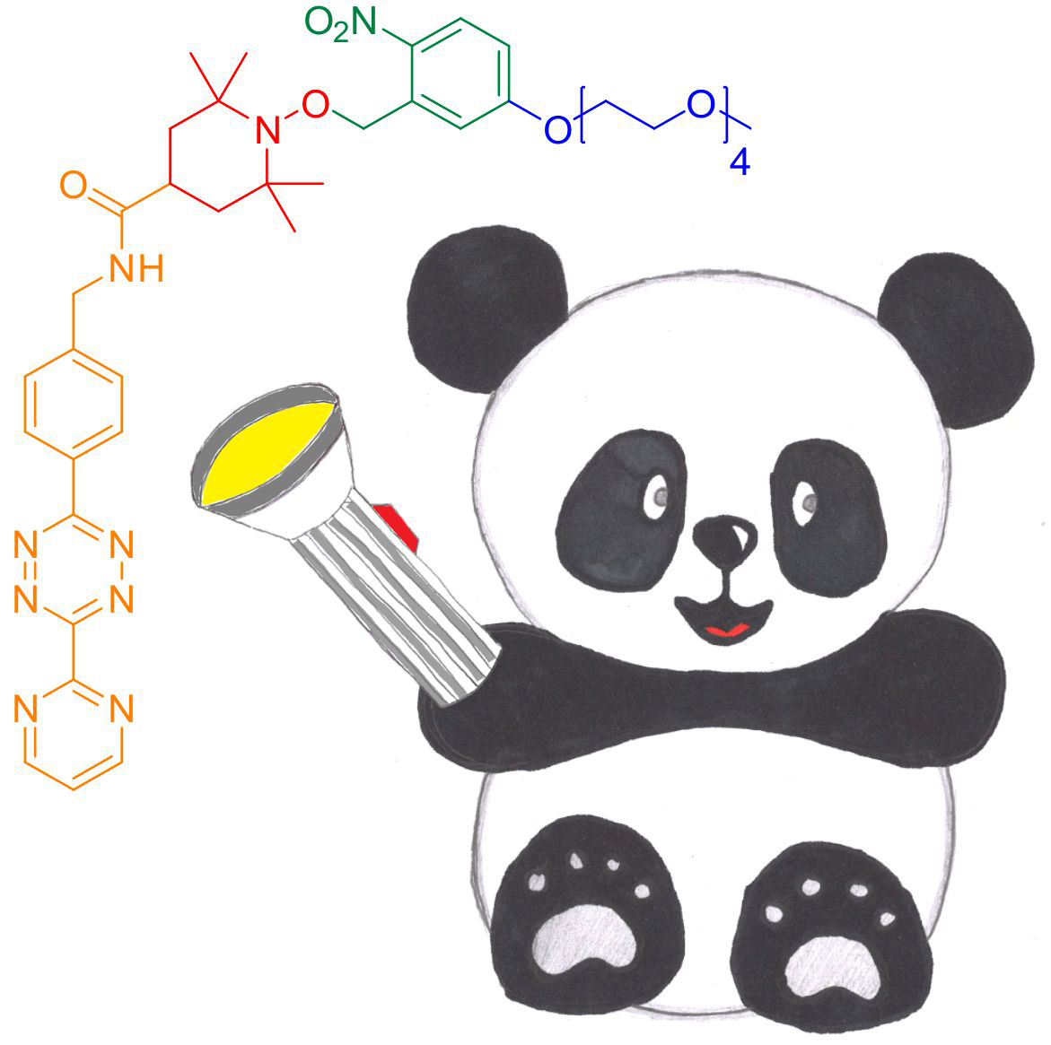 The novel photoactivatable nitroxide for DAinv reaction spin label for proteins, PaNDA. It can be ligated to proteins through a DAinv cycloaddition to genetically encoded noncanonical amino acids. Credit: Anandi Kugele