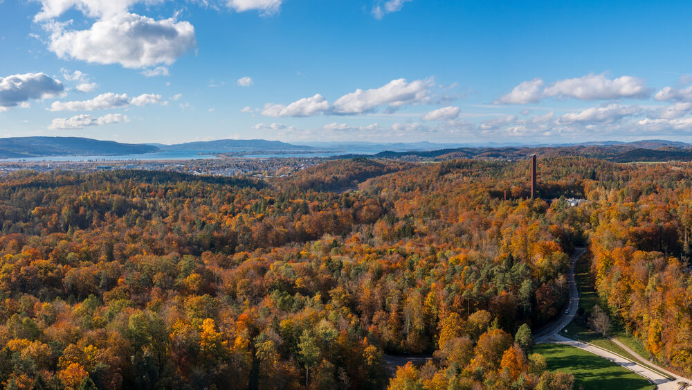 Drohnenaufnahme vom Zugang zur Universitaet, umgeben vom Herbstwald. Bild: Frank Nachtwey